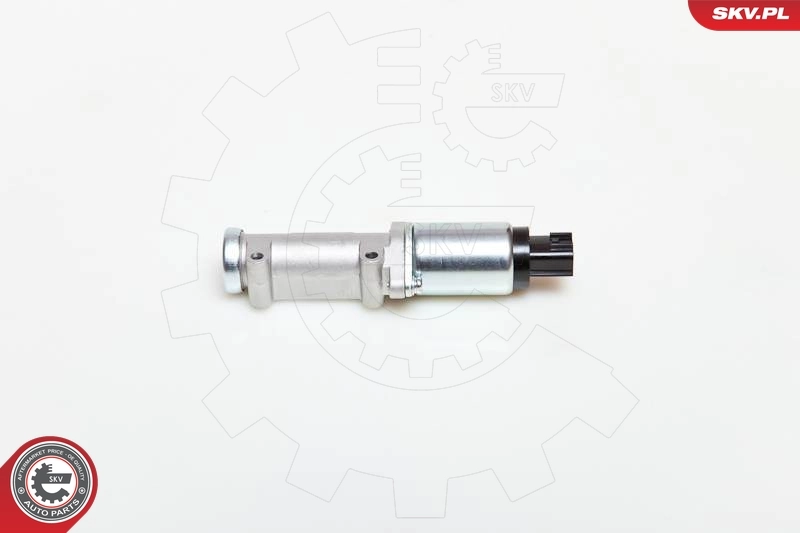 Idle Control Valve, air supply